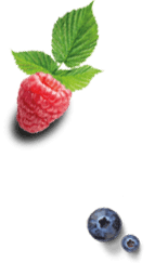 fruit icecream